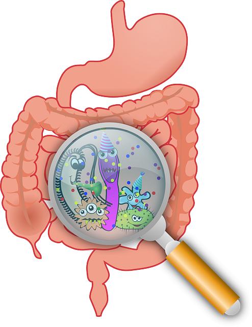 exploring the‍ Comprehensive Benefits for Digestive⁤ Health and Immunity