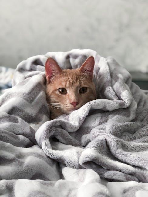 Design Elements ‍That⁢ Elevate ​the⁤ Tabby Pillow⁣ into ⁢a ‍Fashion Staple