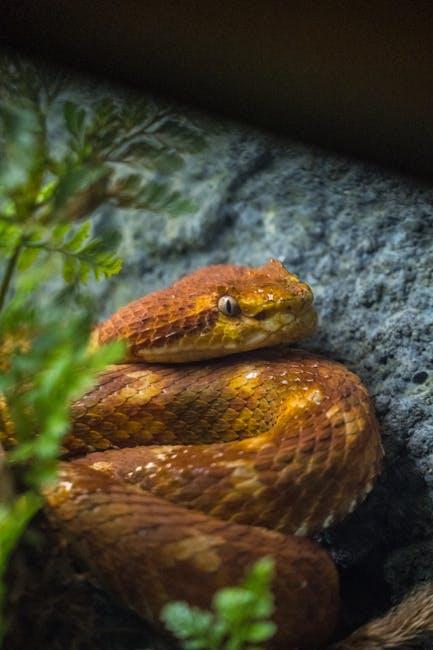 Investment Value: Is ⁢the Serpenti Viper Worth ‌It?