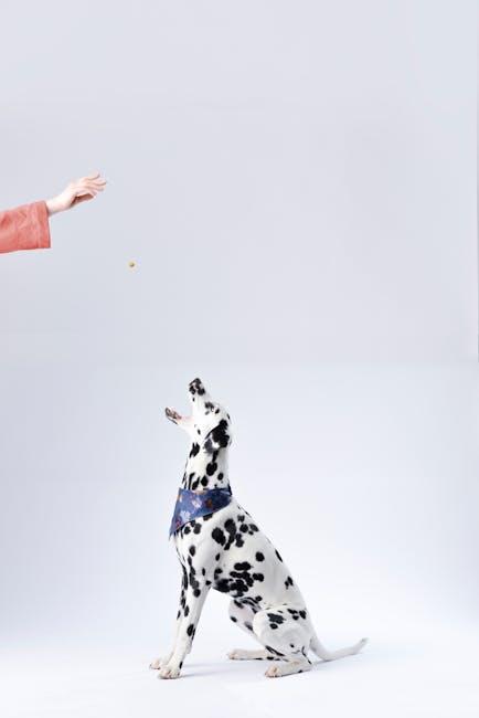 Choosing the Right Treats for Optimal Fun and‌ Nutrition