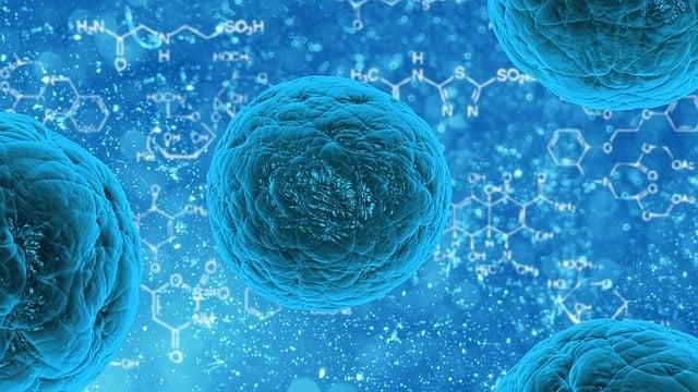 Exploring the Extensive Nutritional Profile of Thorne Research Basic Nutrients 2/Day