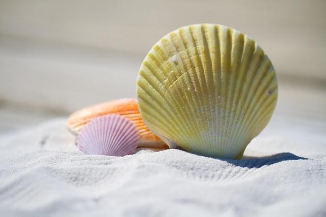 Coastal Inspirations: Designing Jewelry⁤ Sets for​ Summer Styles