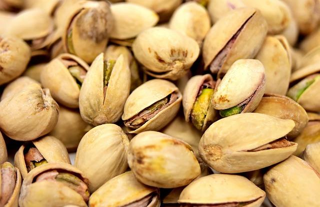 Key Ingredients That define Quality in Wellness Core Grain-Free Dog Food