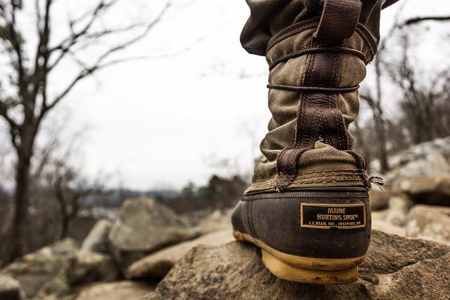 Safety First: How the Whistle GO Explore Keeps Pets Secure