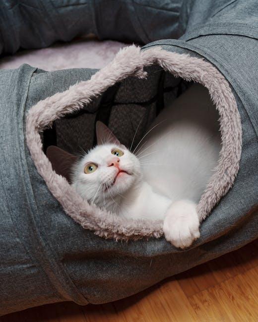 exploring the ⁤Benefits of the Frisco Cat tunnel⁣ for Playful Adventures