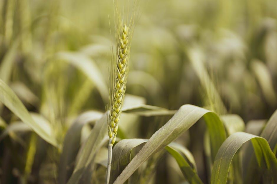 A Closer Look at Grain-Free Ingredients for Optimal Health