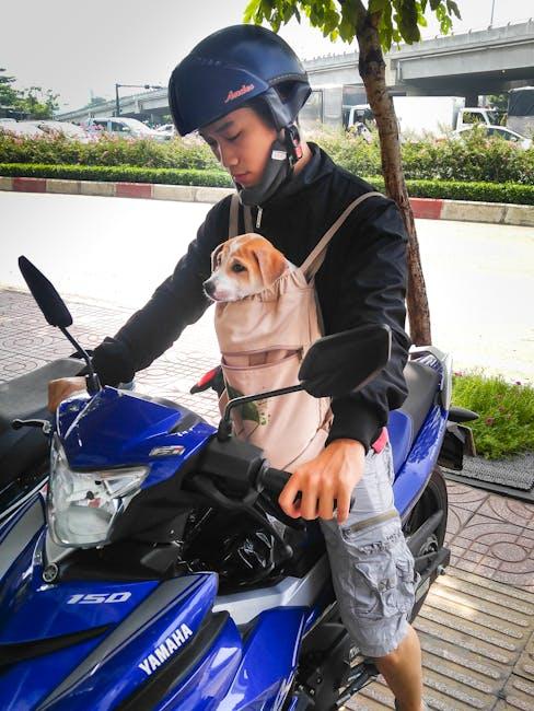 Travel Safety Features to Consider for Your Pet's Journey