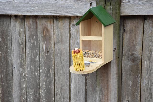 Maintaining Your PetSafe Feeder for Longevity and Performance