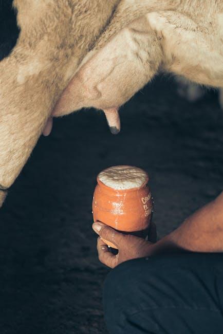 Exploring​ Flavor Options and Recipes for⁤ Enhanced Protein Consumption