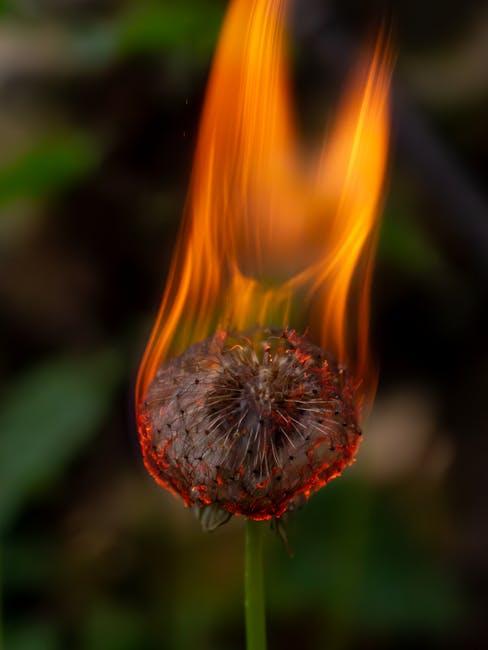 Exploring ⁣the Science Behind Omni-Heat Thermal Reflective ⁢Technology