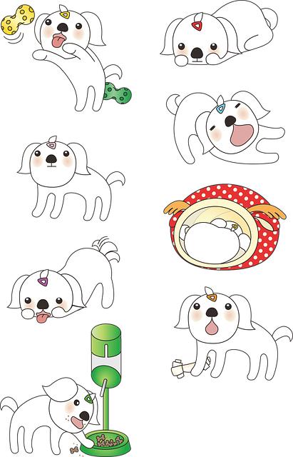 Choosing the Right Size for Your Dog