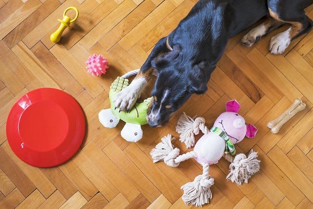 Inspiring Engaging Playtime⁢ with the ⁣Hide-A-Squirrel Toy