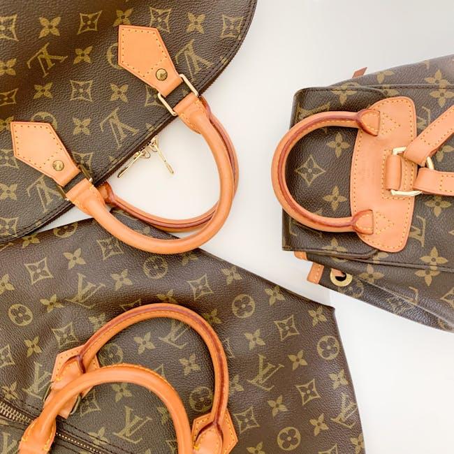 Exploring the Timeless Design of the Goyard Saint Louis Tote