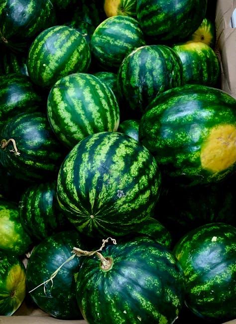 Harnessing Whole Food Power for Vitality