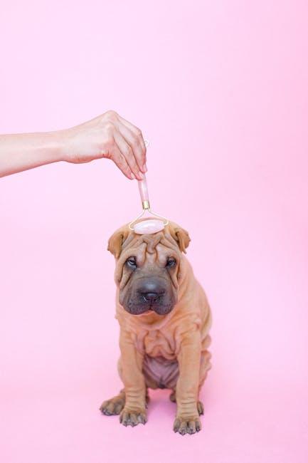 Exploring the Design Features of the JW Pet Hol-ee Roller