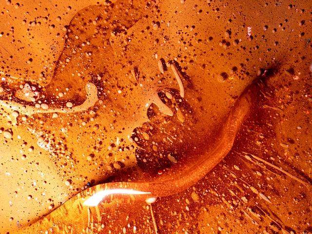 Understanding the Unique ⁢Ingredients Behind Gisou ⁤Honey‌ Infused Hair Oil