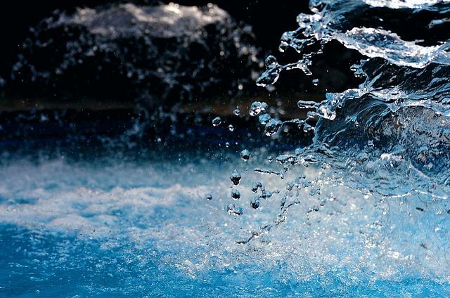 Why the PetSafe Smart‌ Pet Water Fountain is Worth the Investment