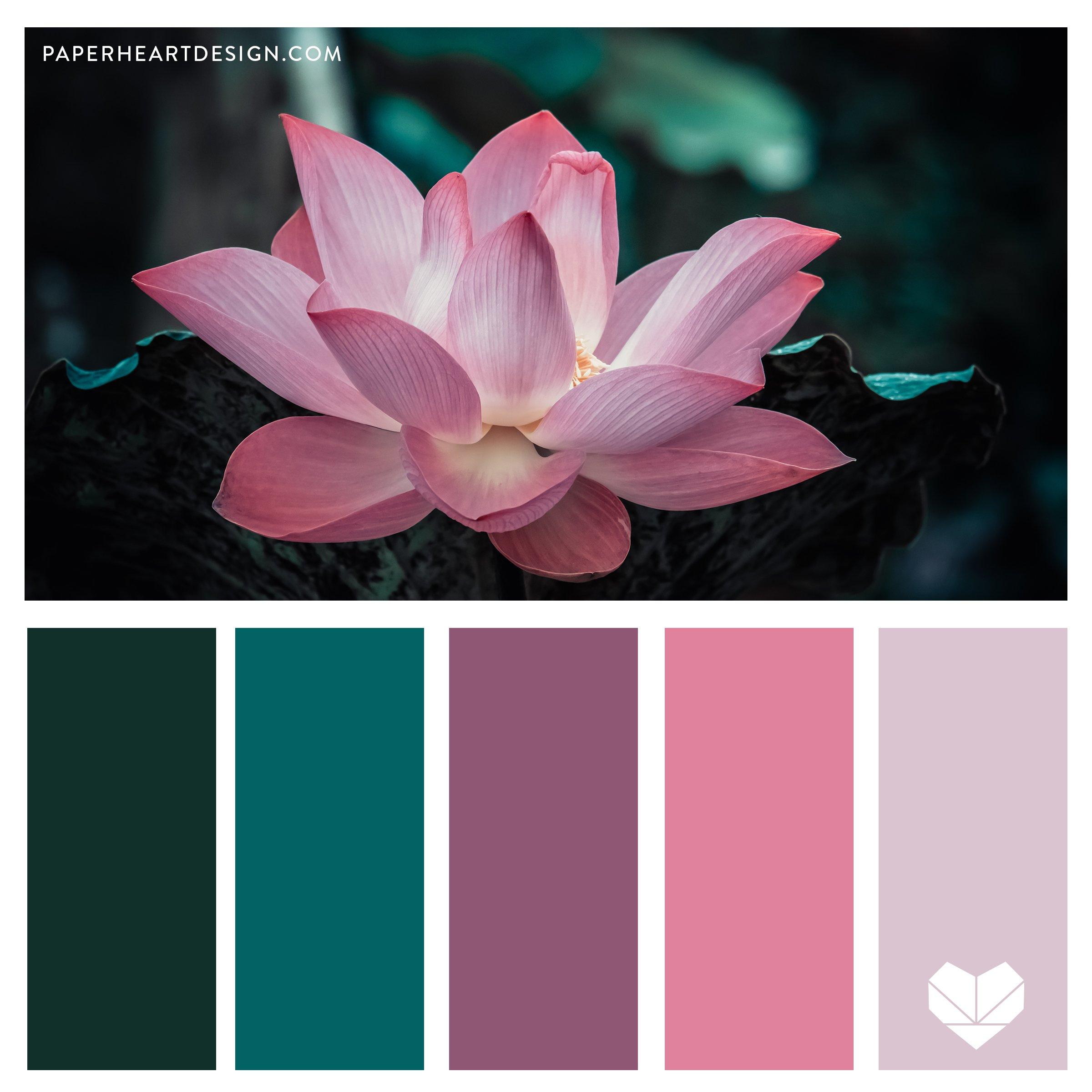 Color Palette Highlights: A Deep Dive into iconic Shades