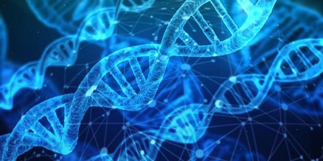 Escentric Molecules Molecule 01: Cult Classic for a Reason