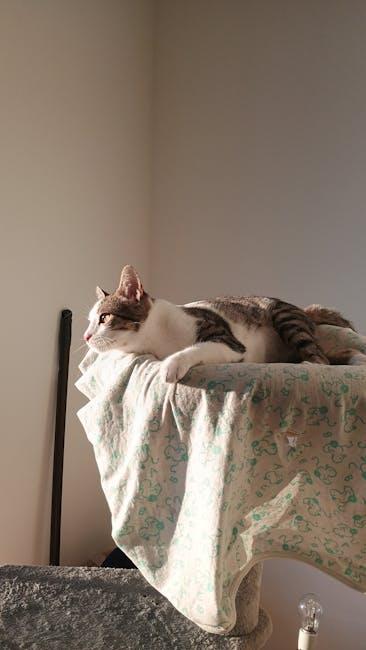PetFusion Cat Window Perch: Sunbathing and Birdwatching Spot