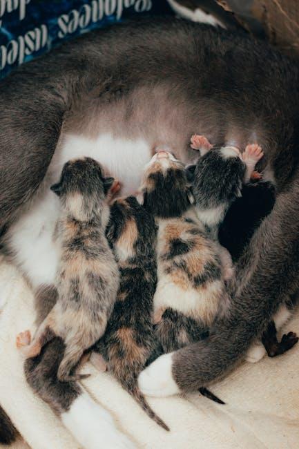 Arm & Hammer Clump & Seal Cat Litter: Odor Control Tested