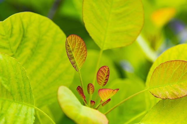 Garden of Life Vitamin Code Raw Multivitamin: Whole Food Nutrition